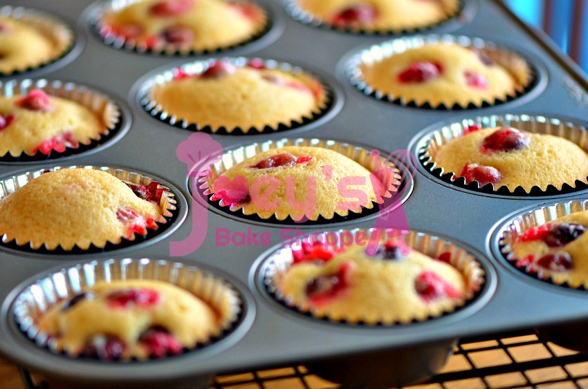 500g Dried Cranberries Halal Joey's Bake Shoppe